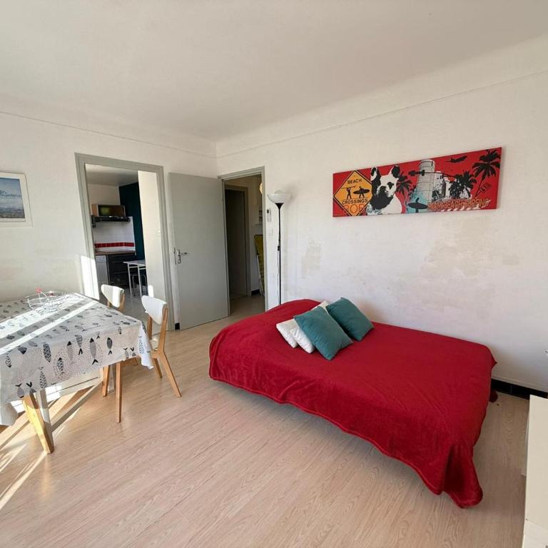 Charmant T2 climatisé au cœur de Banyuls-sur-Mer, proche plage - FR-1-309-29 - Apartamento de 1 dormitorio - 16