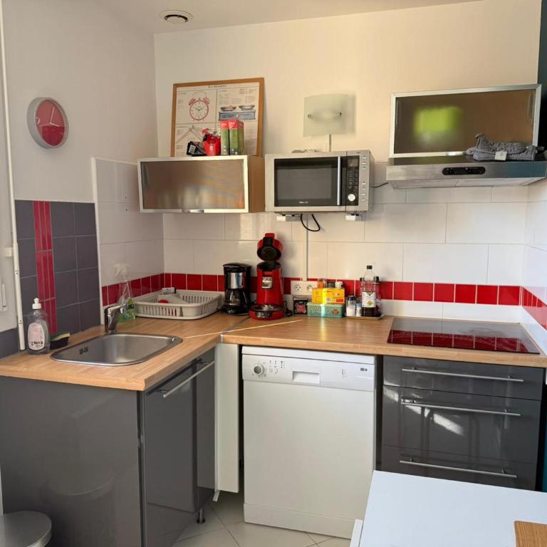 Charmant T2 climatisé au cœur de Banyuls-sur-Mer, proche plage - FR-1-309-29 - Apartamento de 1 dormitorio - 19
