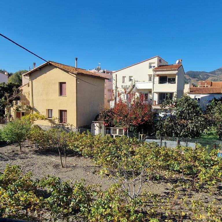 Appartement rénové à Banyuls-sur-Mer avec terrasse - FR-1-309-4 - Two-Bedroom Apartment - 7
