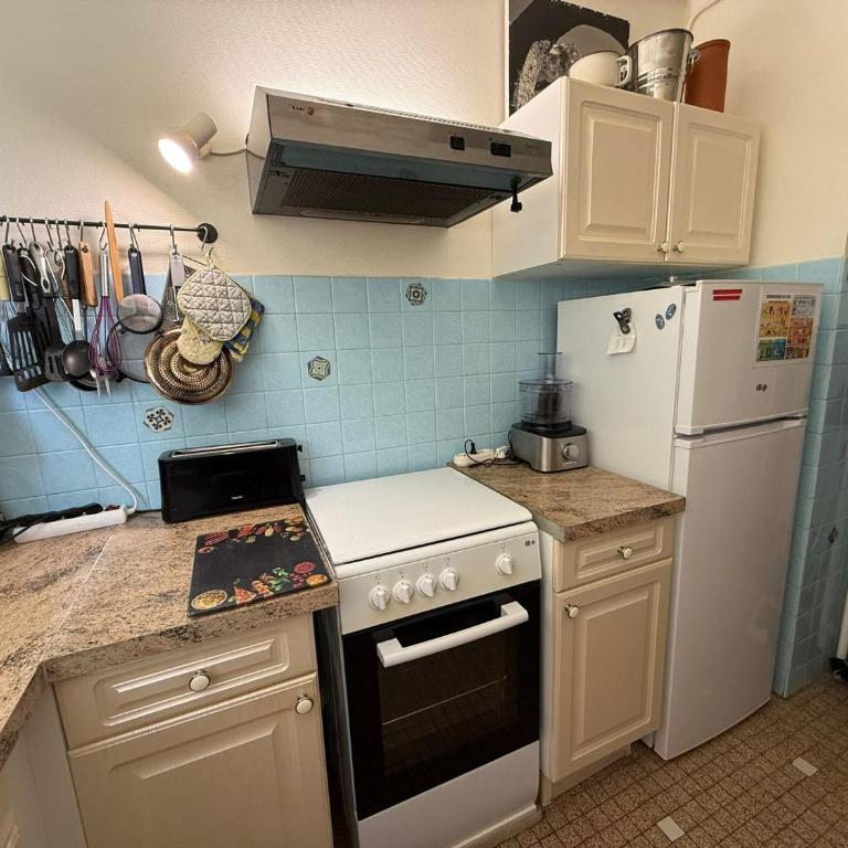 Appartement à Banyuls-sur-Mer avec Vue sur Mer et Parking - FR-1-309-6 - Apartamento de 1 dormitorio - 17