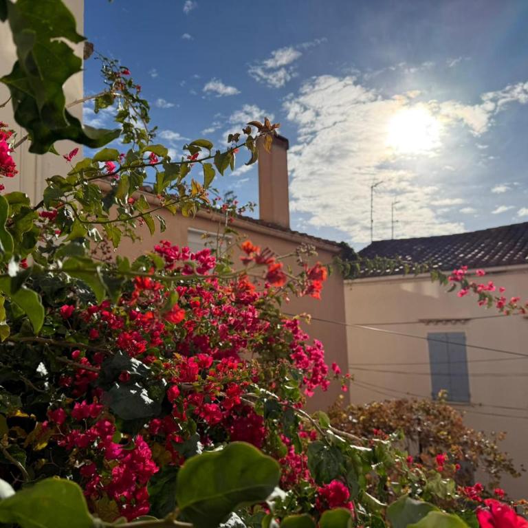 BANYULS-SUR-MER, appartement T3, proche plage et commerces - FR-1-309-33 - Two-Bedroom Apartment - 1