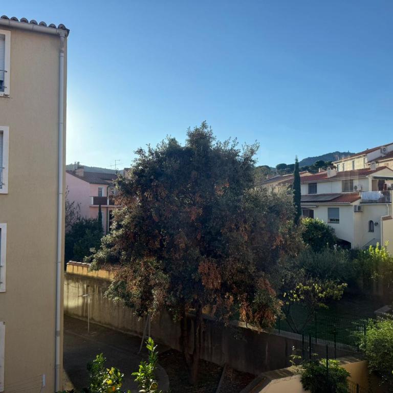 Appartement central près plage Banyuls-sur-Mer - Apartment mit 2 Schlafzimmern - 6