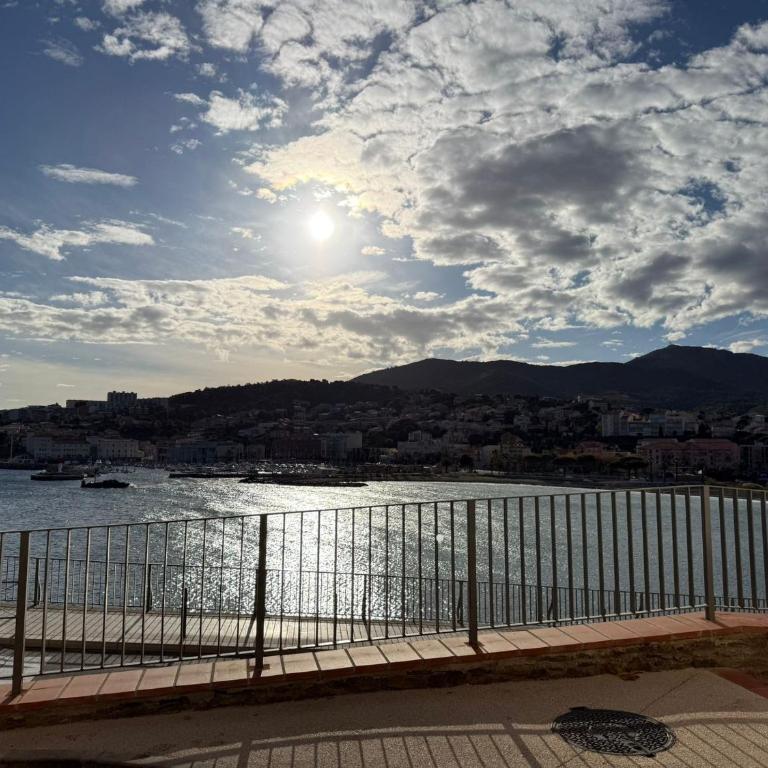 F3 en centre-ville de Banyuls avec terrasse - FR-1-309-58 - Two-Bedroom Apartment - 14