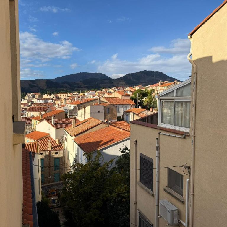 F3 en centre-ville de Banyuls avec terrasse - FR-1-309-58 - Two-Bedroom Apartment - 17