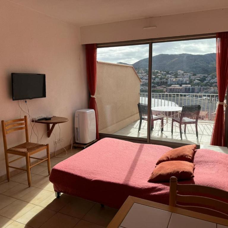 Studio à Banyuls-sur-Mer, terrasse proche plages - FR-1-309-73 - Studio - 17