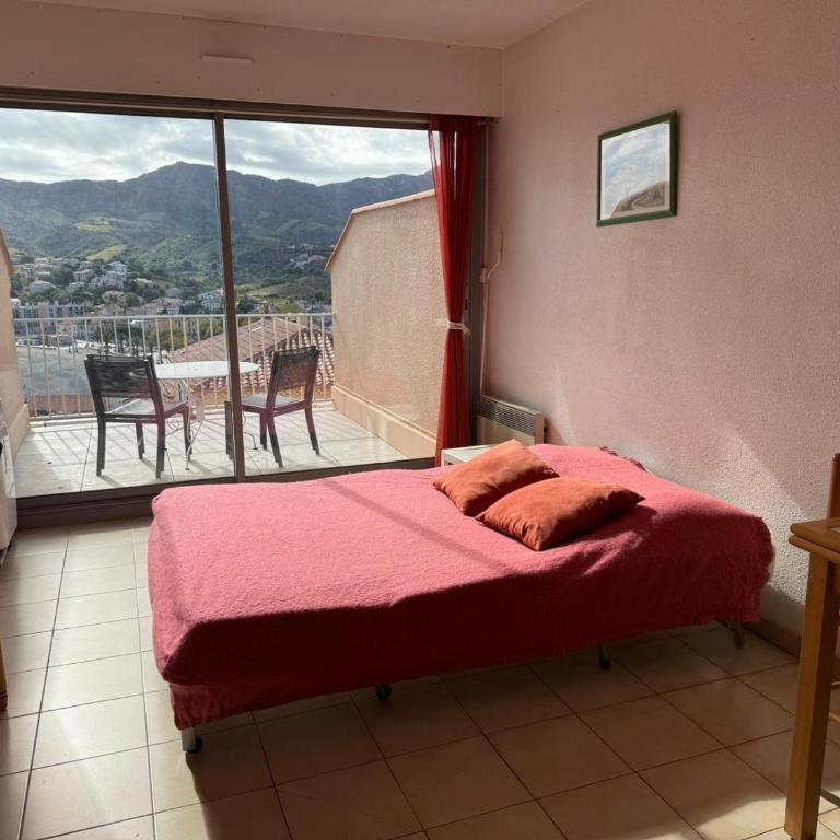 Studio à Banyuls-sur-Mer, terrasse proche plages - FR-1-309-73 - Studio - 18