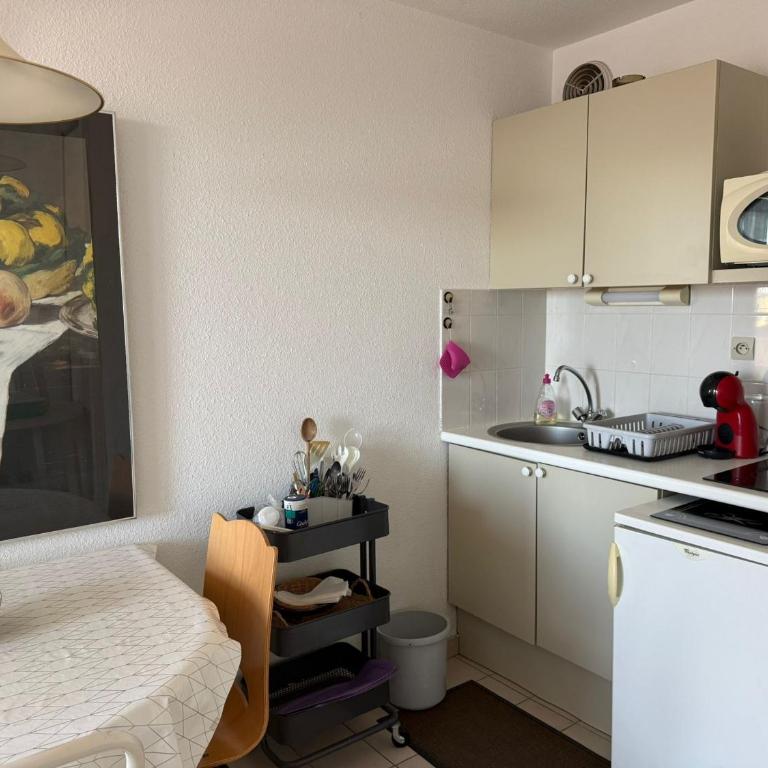 Studio climatisé Banyuls-sur-Mer avec parking, proche mer - FR-1-309-74 - Studio - 11