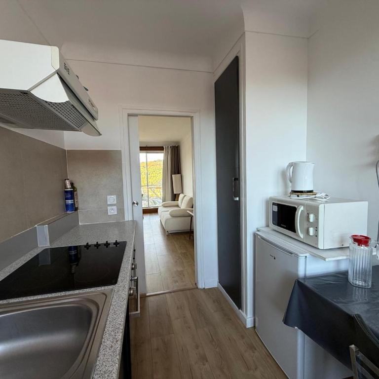 Studio confortable avec vue mer, loggia, animaux acceptés et parking privatif - FR-1-309-75 - One-Bedroom Apartment - 22