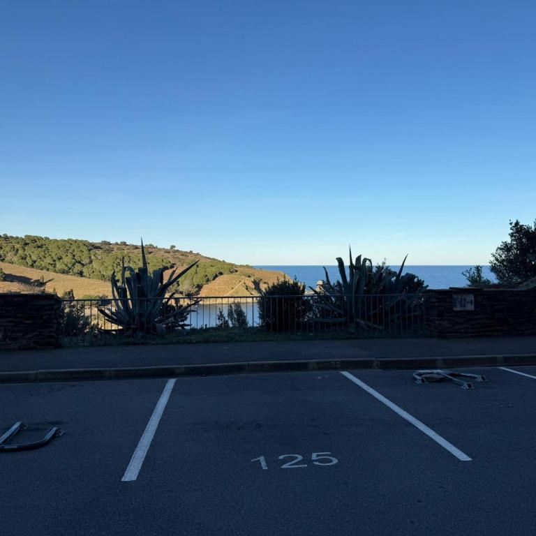 Studio confortable avec vue mer, loggia, animaux acceptés et parking privatif - FR-1-309-75 - One-Bedroom Apartment - 23