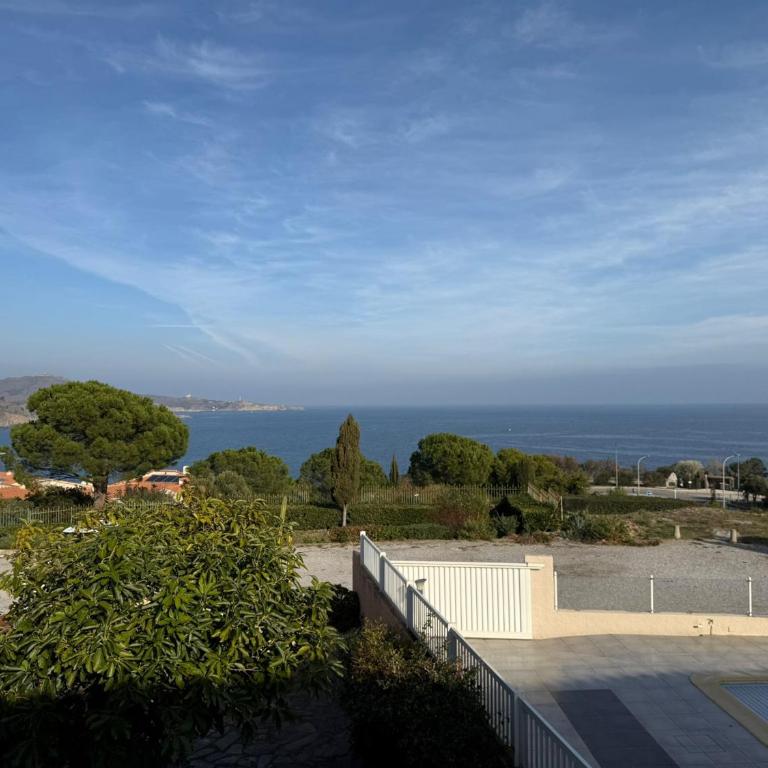 Charmant studio avec terrasse et parking à Banyuls-sur-Mer - FR-1-309-90 - Monolocale - 5