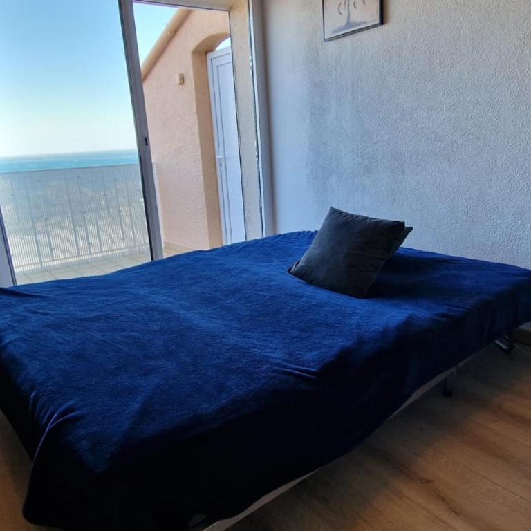Appartement T3 à Banyuls-sur-Mer, terrasse et parking privé - FR-1-309-209 - Apartamento de 2 dormitorios - 17