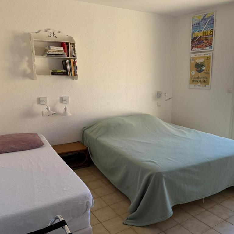 Bel appartement T3 en front de mer avec terrasses et garage - FR-1-309-198 - Apartamento de 2 dormitorios - 16
