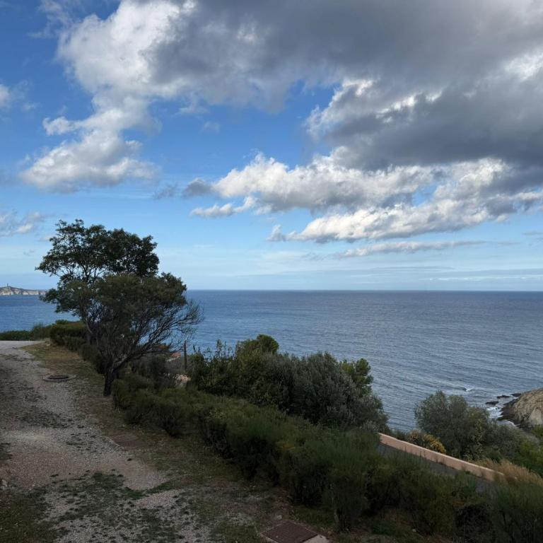 Studio cabine à Banyuls-sur-Mer avec terrasse - FR-1-309-210 - Studio - 10