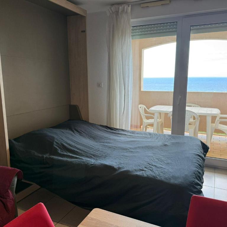 Studio cabine à Banyuls-sur-Mer avec terrasse - FR-1-309-210 - Studio - 12