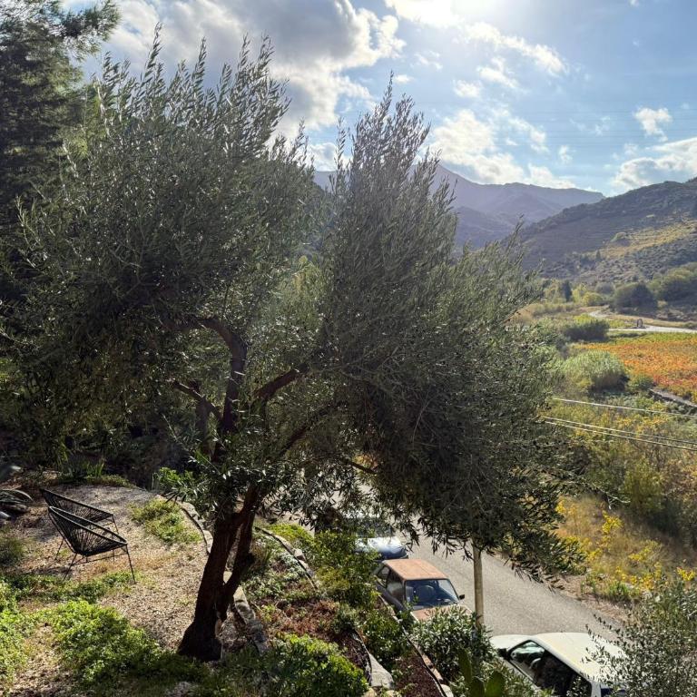 Maison 4* indépendante avec vue sur vignes - Terrasse - Parking - FR-1-309-262 - One-Bedroom Apartment - 16