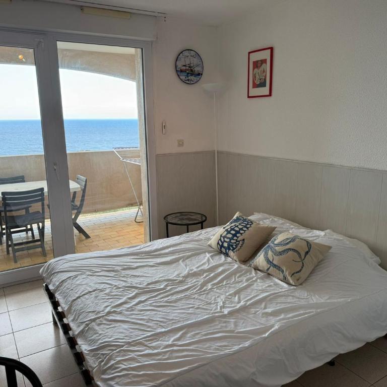 Banyuls-sur-Mer T2 avec terrasse et WIFI - FR-1-309-259 - One-Bedroom Apartment - 12