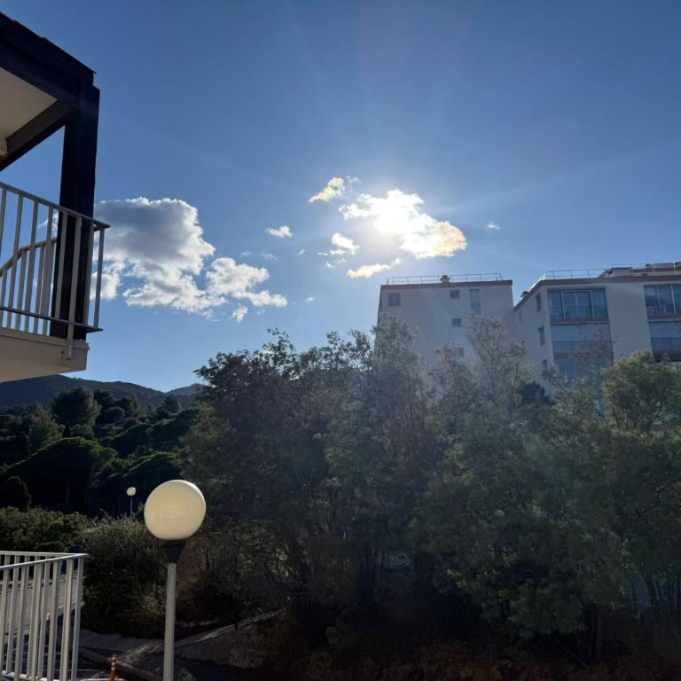 Banyuls-sur-Mer T2 avec terrasse et WIFI - FR-1-309-259 - One-Bedroom Apartment - 22
