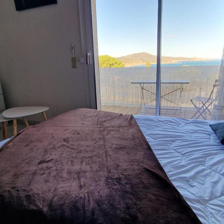 BANYULS-SUR-MER, T2 climatisé, terrasse, parking, proche crique - FR-1-309-235 - Apartment mit 1 Schlafzimmer - 17