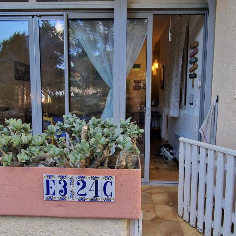 Banyuls: T3 avec Terrasse, Parking, 6 Pers. - FR-1-309-295 - Apartment mit 2 Schlafzimmern - 13