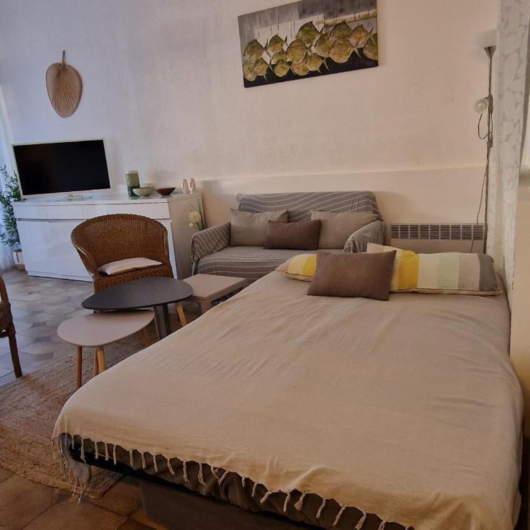 Banyuls: T3 avec Terrasse, Parking, 6 Pers. - FR-1-309-295 - Apartment mit 2 Schlafzimmern - 17