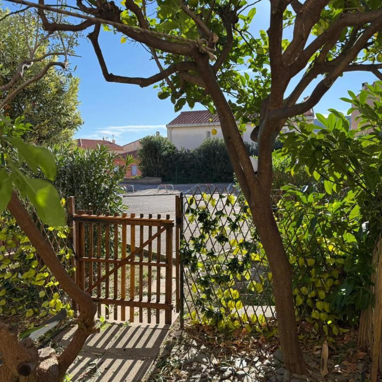 BANYULS, T2, Rez-de-jardin, Parking, WIFI, Clim - FR-1-309-340 - One-Bedroom Apartment - 15