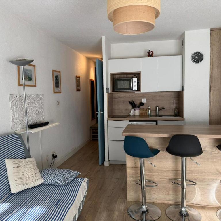 BANYULS, T2, Rez-de-jardin, Parking, WIFI, Clim - FR-1-309-340 - One-Bedroom Apartment - 18