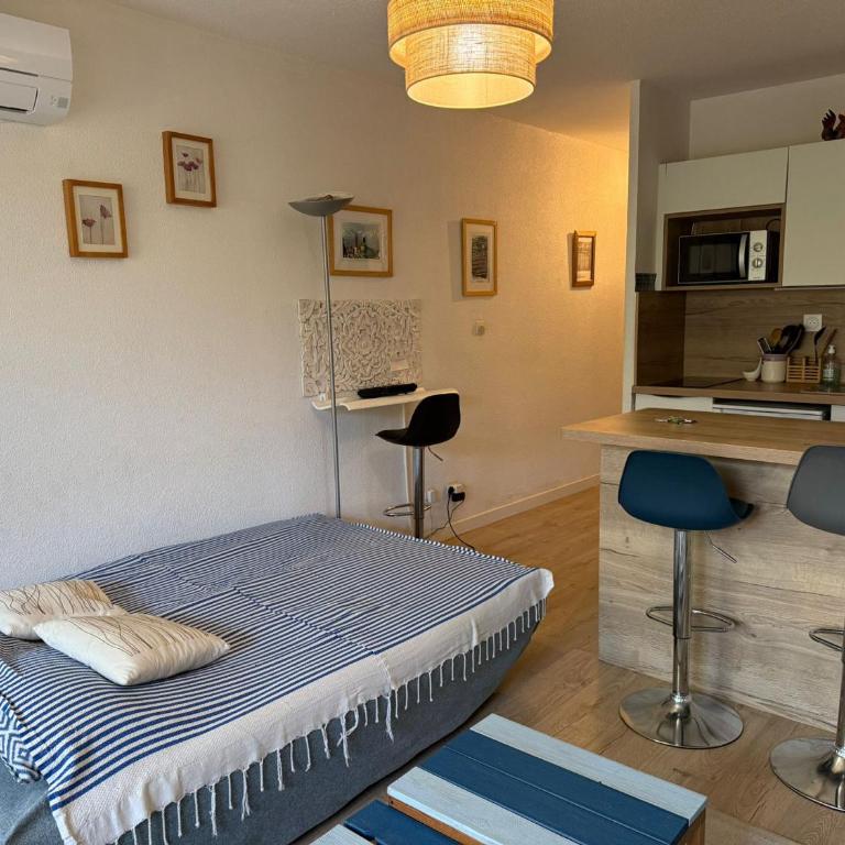 BANYULS, T2, Rez-de-jardin, Parking, WIFI, Clim - FR-1-309-340 - One-Bedroom Apartment - 21