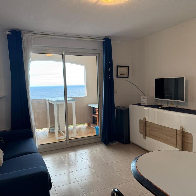 Appartement T2 à Banyuls, terrasse, parking, WIFI - FR-1-309-373 - Appartement 1 Chambre - 10