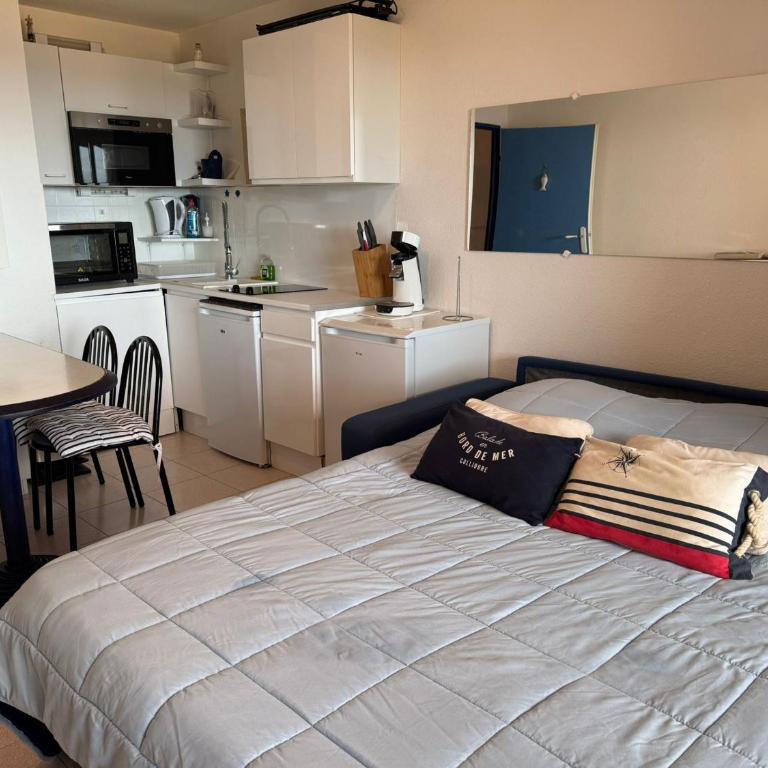 Appartement T2 à Banyuls, terrasse, parking, WIFI - FR-1-309-373 - Appartement 1 Chambre - 12