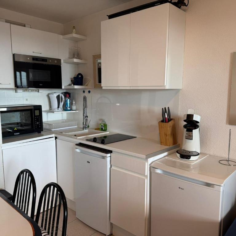 Appartement T2 à Banyuls, terrasse, parking, WIFI - FR-1-309-373 - Appartement 1 Chambre - 14