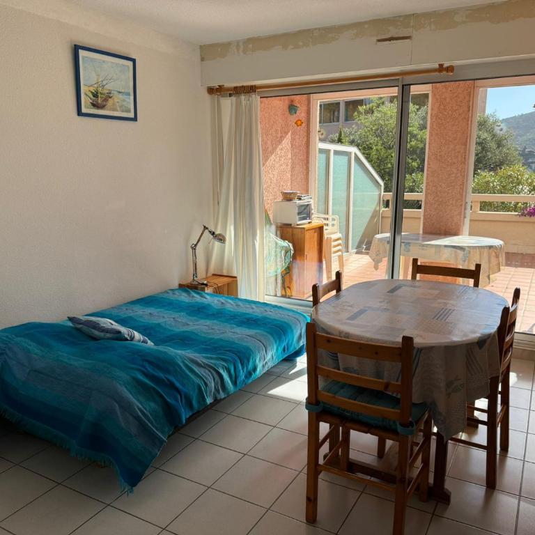Charmant T2 avec terrasse entre plages à Banyuls-sur-Mer - FR-1-309-413 - Apartamento de 1 dormitorio - 14