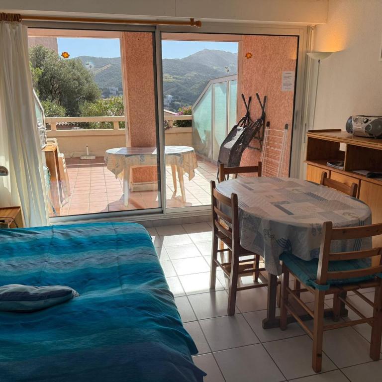 Charmant T2 avec terrasse entre plages à Banyuls-sur-Mer - FR-1-309-413 - Apartamento de 1 dormitorio - 16