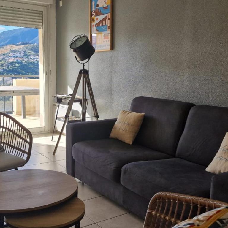 Appartement 3 pièces avec terrasse et WIFI à Banyuls-sur-Mer - FR-1-309-459 - Apartamento de 2 dormitorios - 21