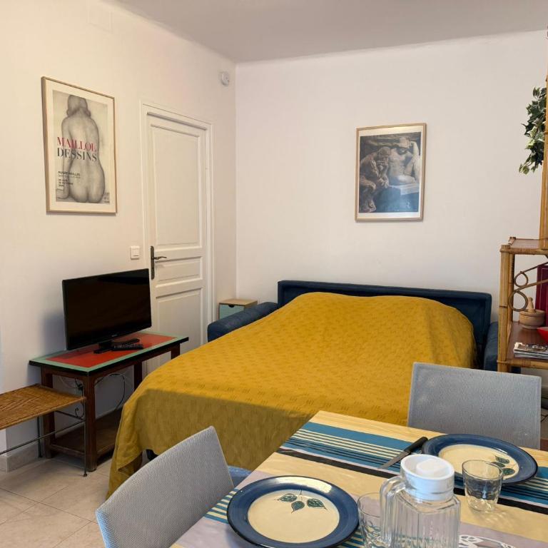 Charmant appartement 4 pers en centre-ville, proche plage - FR-1-309-517 - Maison 1 Chambre - 13