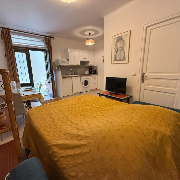Charmant appartement 4 pers en centre-ville, proche plage - FR-1-309-517 - Maison 1 Chambre - 16