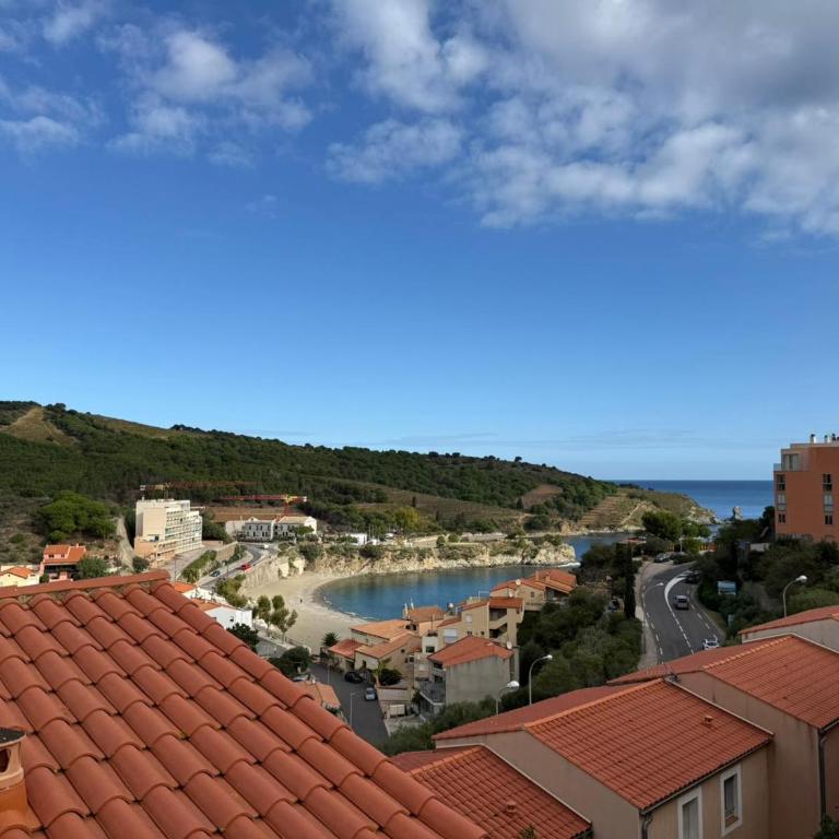 Appartement T3 à Banyuls-sur-Mer, proche plage - FR-1-309-523 - Appartement 2 Chambres - 6