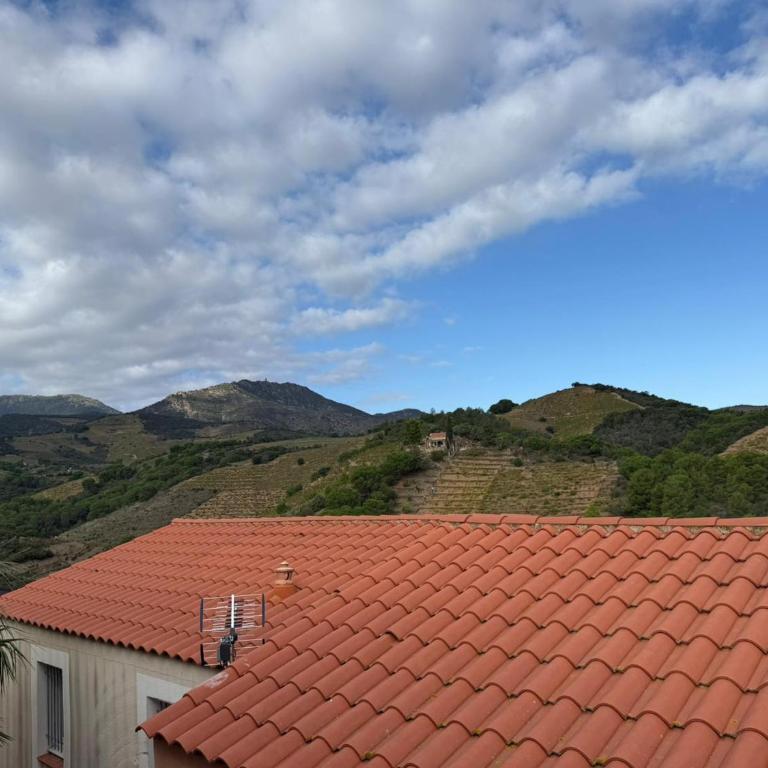 Appartement T3 à Banyuls-sur-Mer, proche plage - FR-1-309-523 - Appartement 2 Chambres - 7