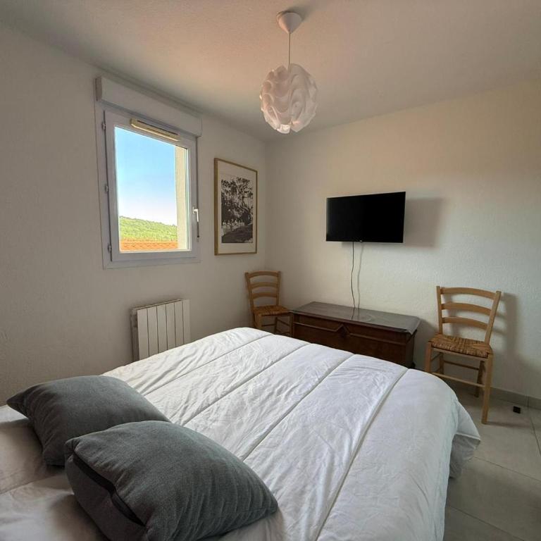 Appartement T3 à Banyuls-sur-Mer, proche plage - FR-1-309-523 - Appartement 2 Chambres - 13