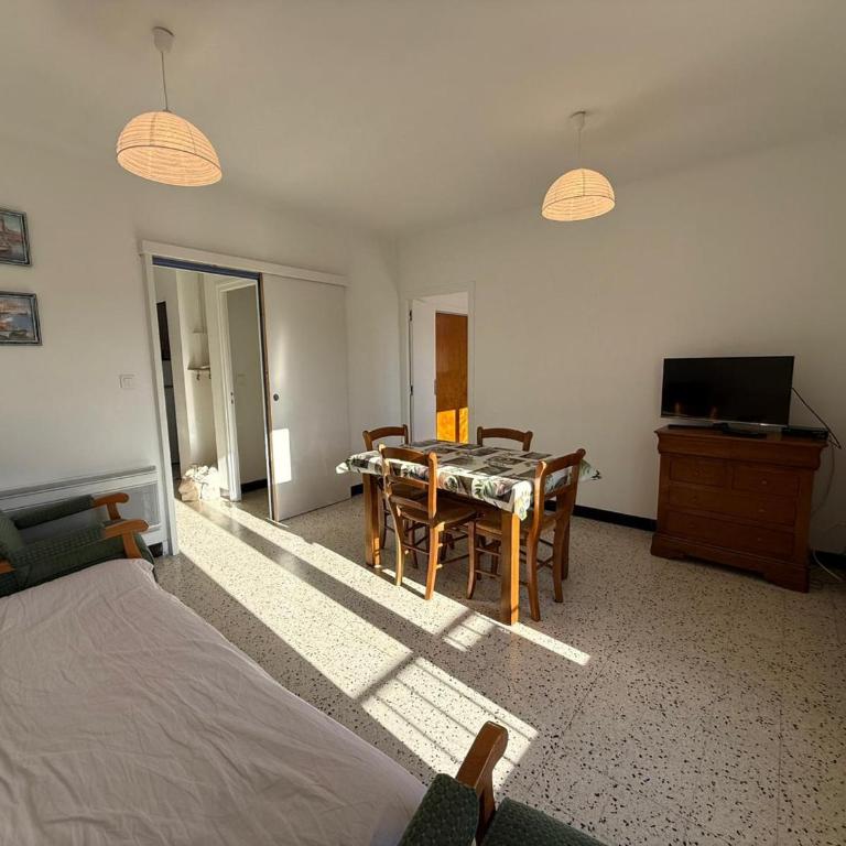 Charmant studio proche centre et plage, calme et pratique - FR-1-309-536 - Apartamento de 2 dormitorios - 12