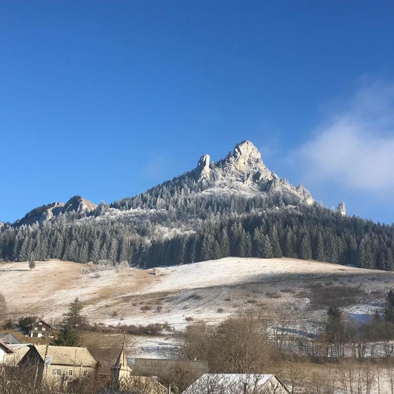 Bernex(74) Appartement 4 personnes dans chalet vue imprenable - Appartement 1 Chambre - 2