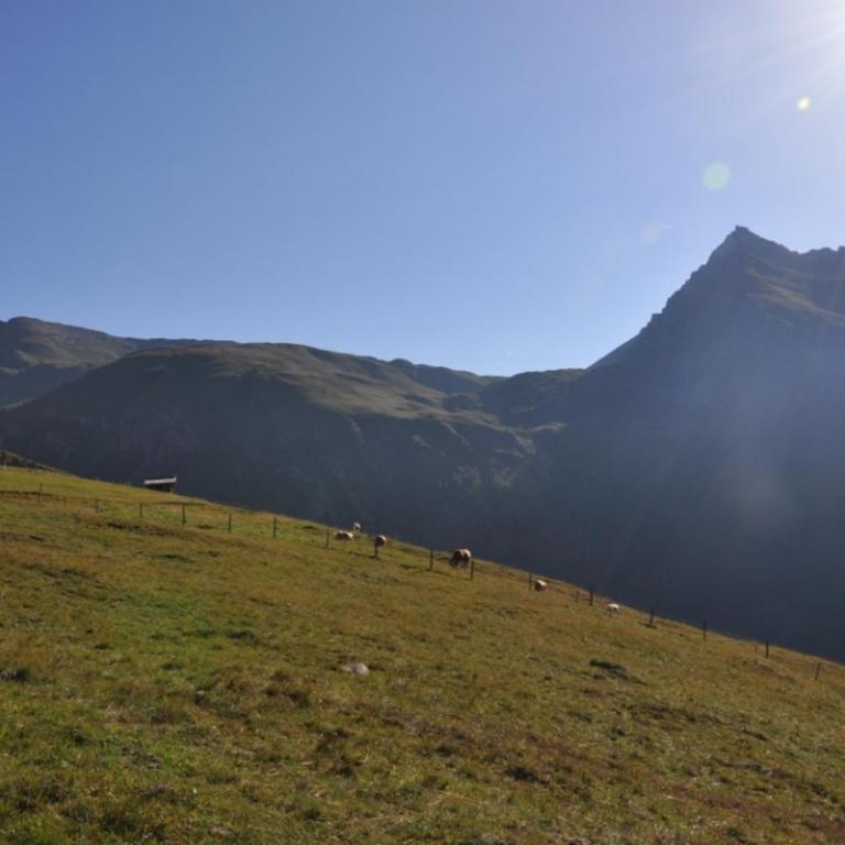 Wallnerhütte I Almblick - Chalet mit 2 Schlafzimmern - 22
