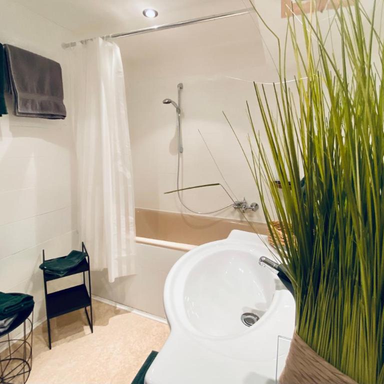 Moosmühle Weitnau - Apartment mit 1 Schlafzimmer und Gartenblick - 9