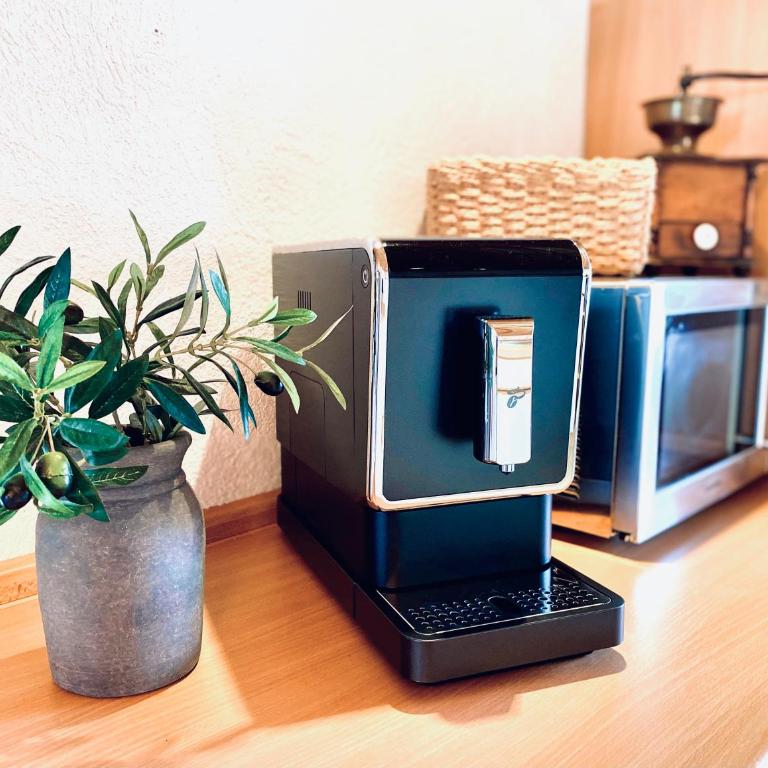 Moosmühle Weitnau - Apartment mit 1 Schlafzimmer und Gartenblick - 10