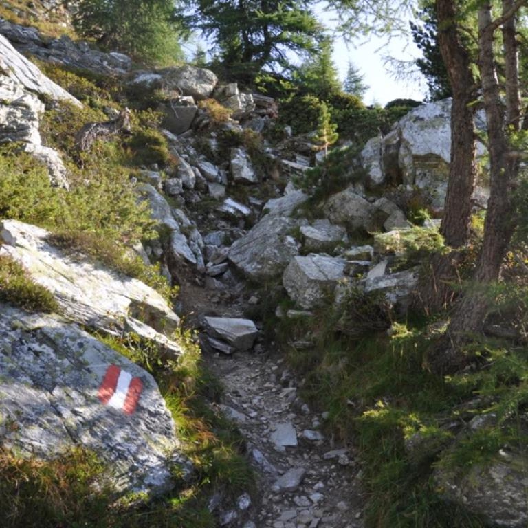 Wallnerhütte I Almblick - Chalet mit 2 Schlafzimmern - 27