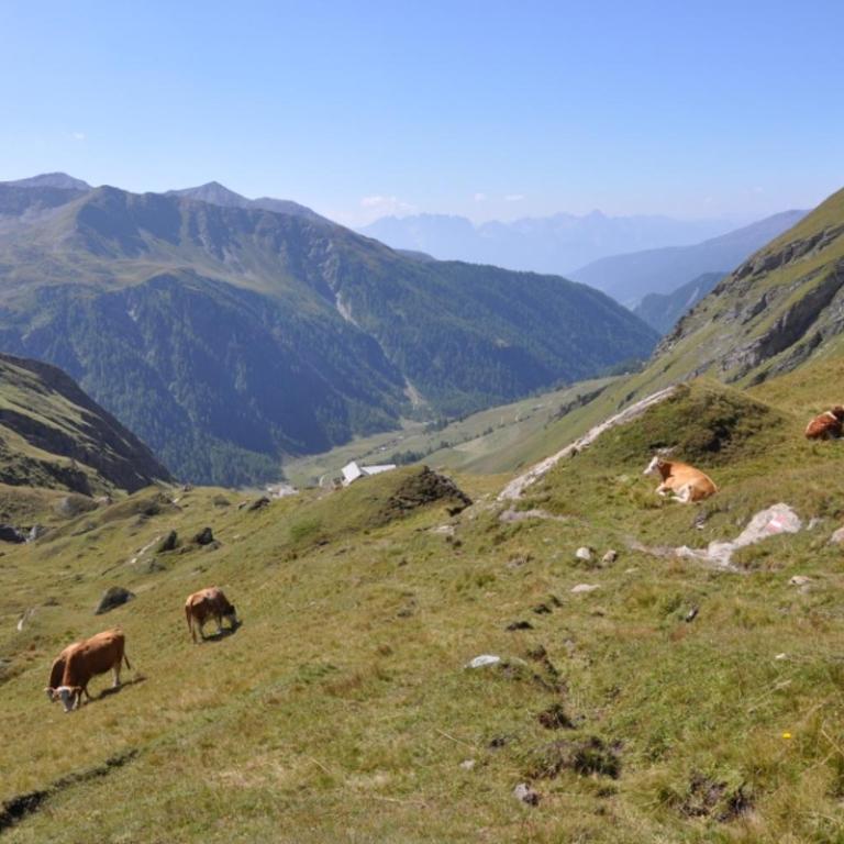 Wallnerhütte I Almblick - Chalet mit 2 Schlafzimmern - 33