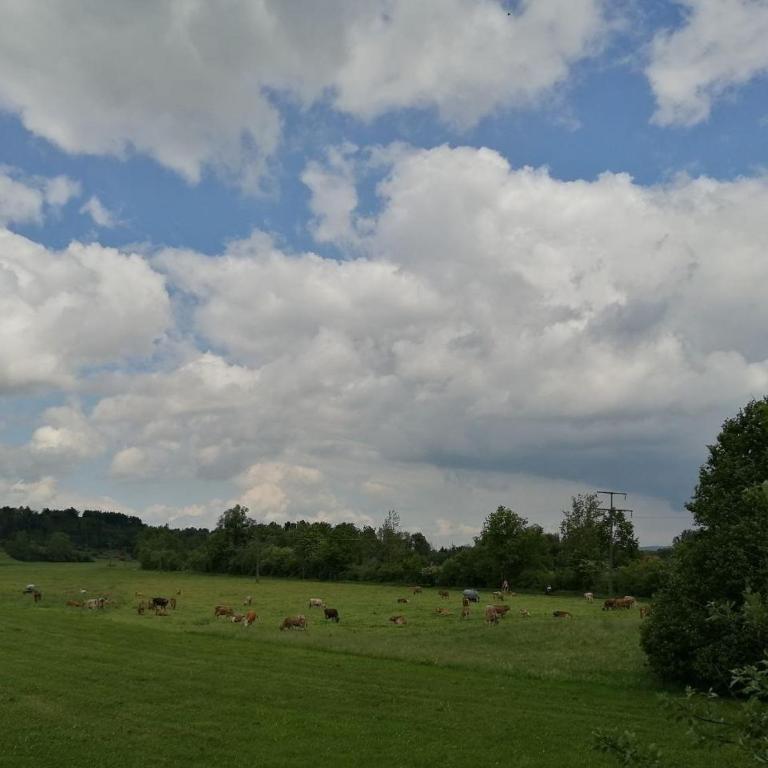 Allgäuer Paradieswinkel - Apartment mit 2 Schlafzimmern und Balkon - 18