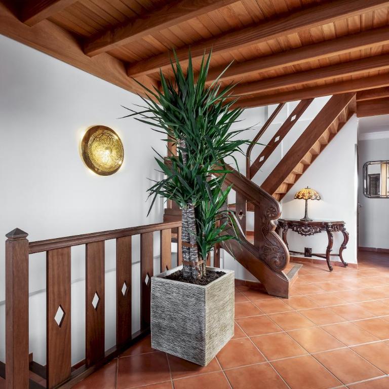 casa carpa andalucia III - Apartment - 5