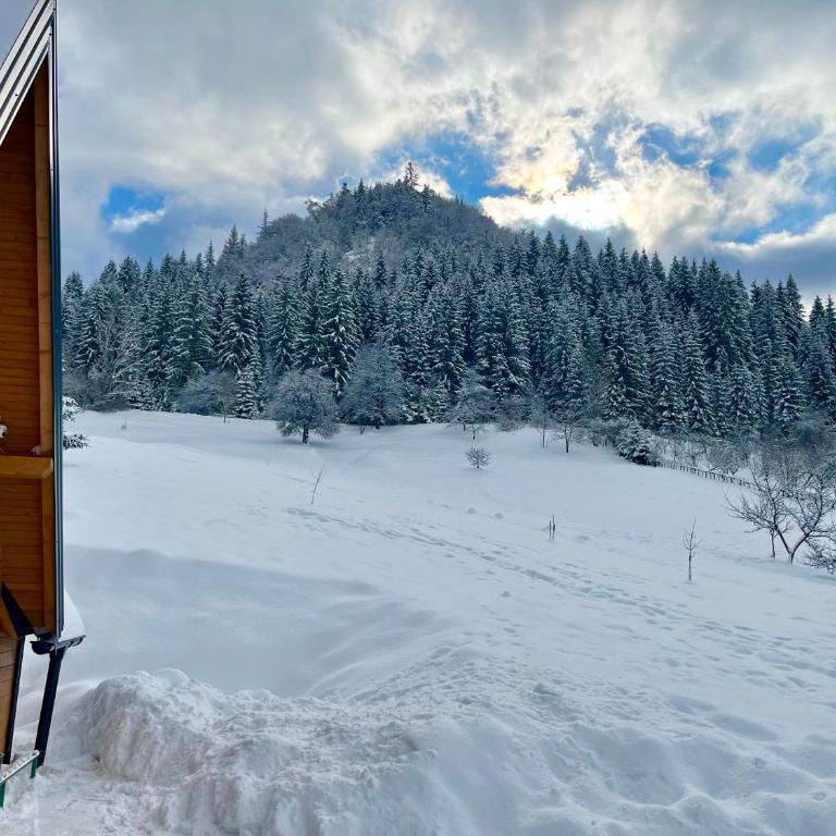 Vikend kuća Vrelo Miljacke - Two-Bedroom House - 9