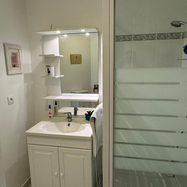 Appartement Moderne T2, Rez-de-Jardin, Proche Plage et Centre Ville, Parking, Wifi, Animaux Acceptés - FR-1-487-362 - Appartement - 12