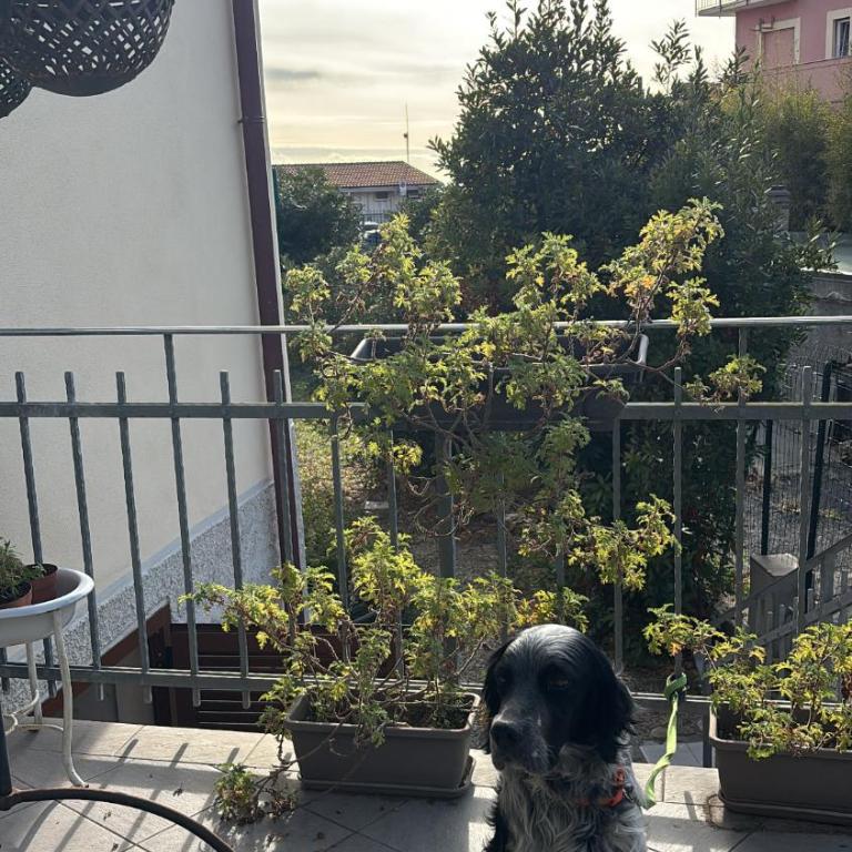 Villa Fontana 56 - Appartamento con Vista Mare - 4